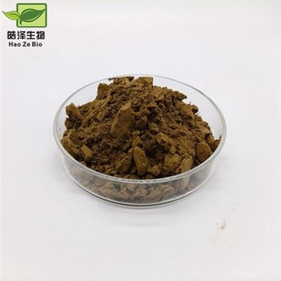 Ehinācijas ekstrakta pulveris