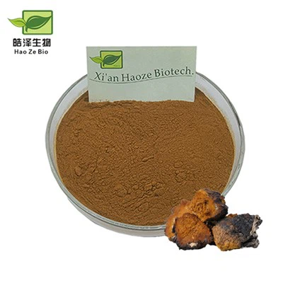 Chaga sēņu ekstrakts