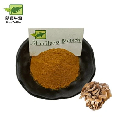 Maitake sēņu ekstrakts